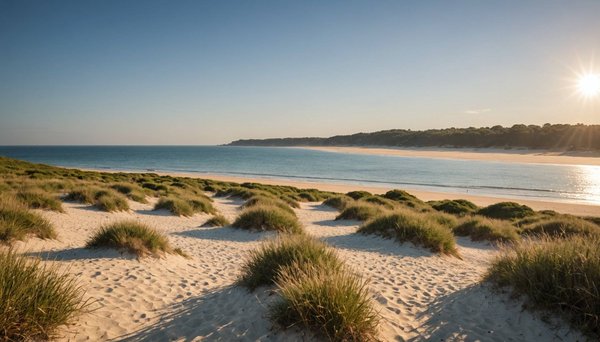 Que faire à biscarrosse ? les suggestions du domaine les oréades